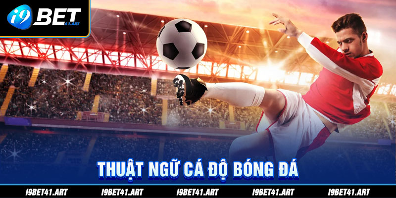 Những Thuật Ngữ Cá Độ Bóng Đá Thường Gặp Khi Chơi Tại I9bet